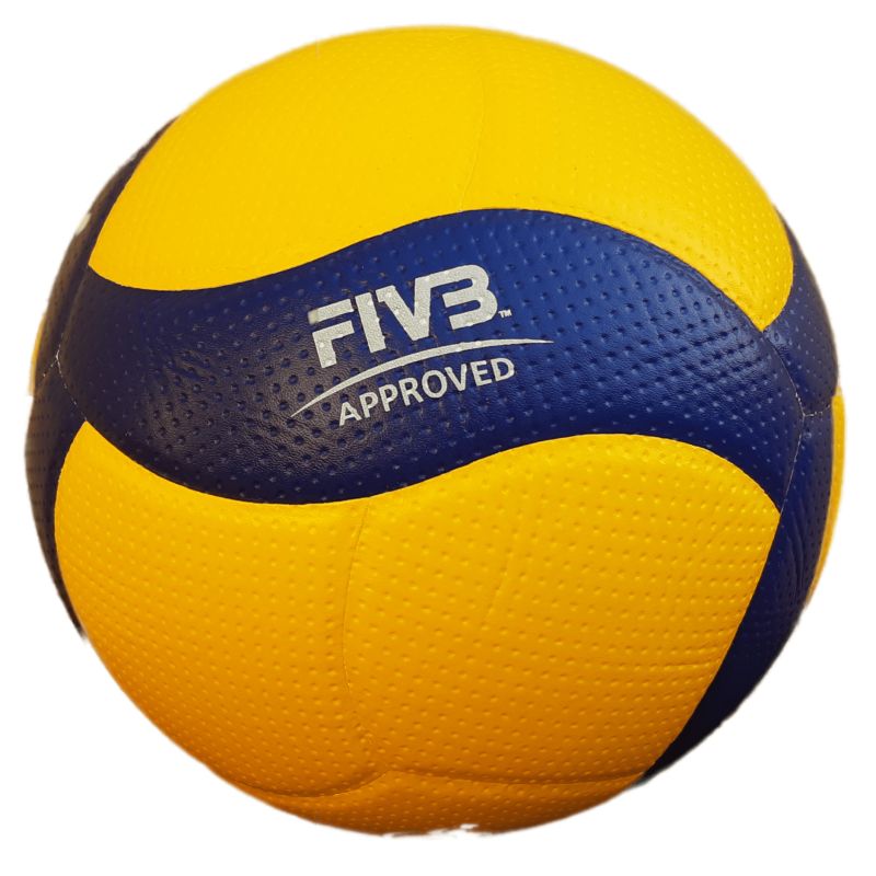 Bola oficial da Federação Internacional de Voleibol